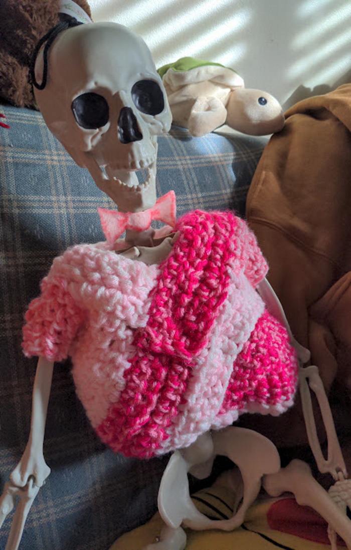 Made A Sweater For Kelly The Skelly Before He's Chilled To The Bone