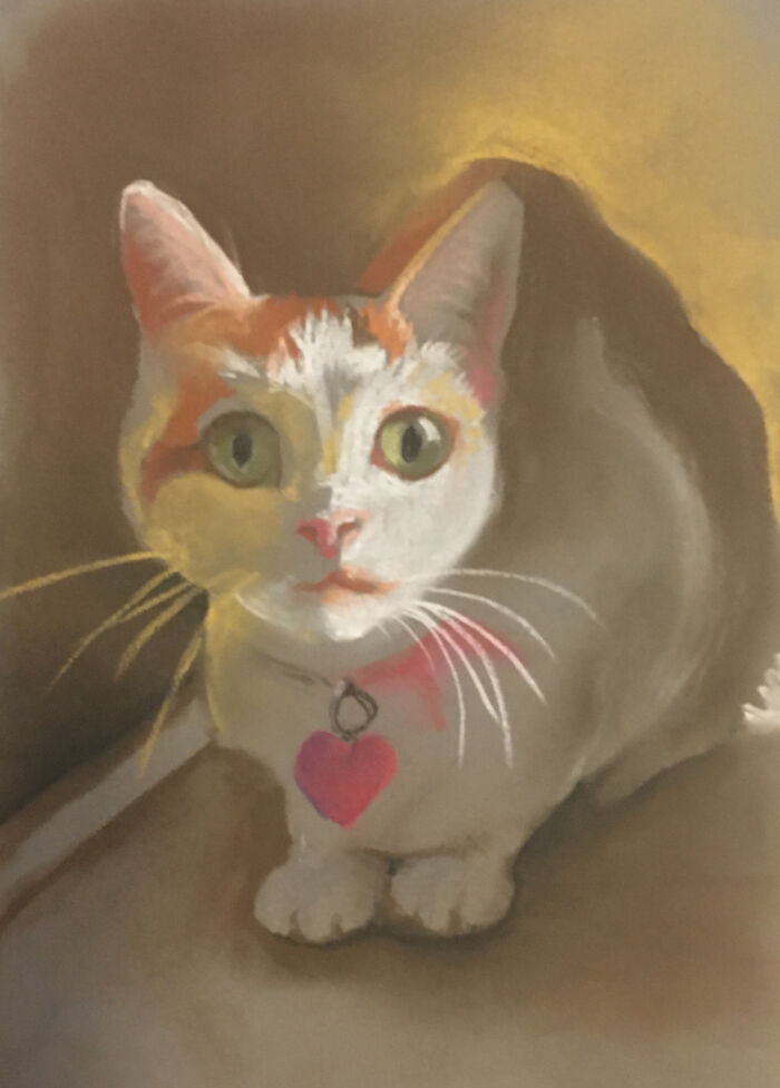 A Quick Pastel Drawing Of My Little Cat Bean