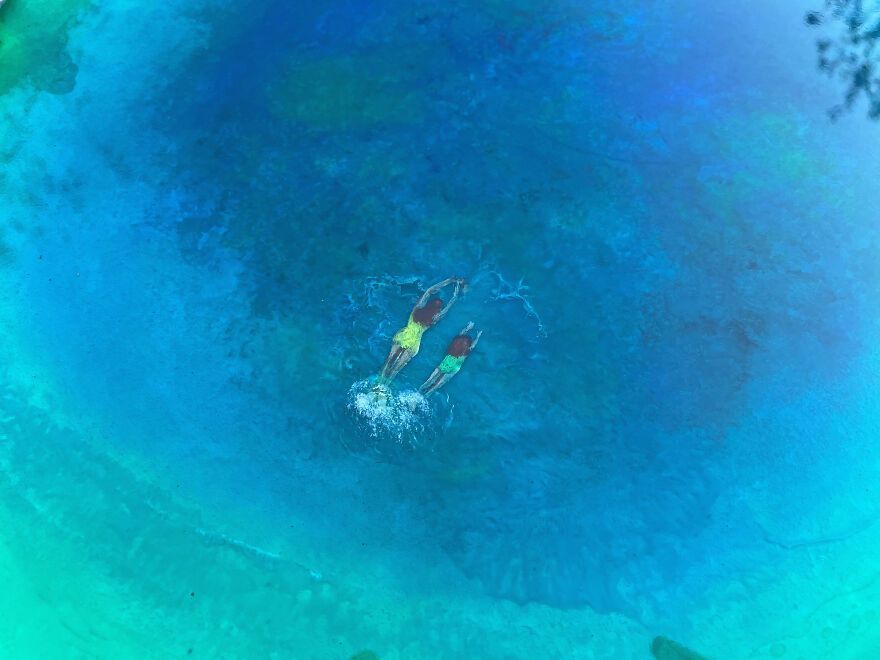 I Made This Artwork With Barks And Preserved Moss.