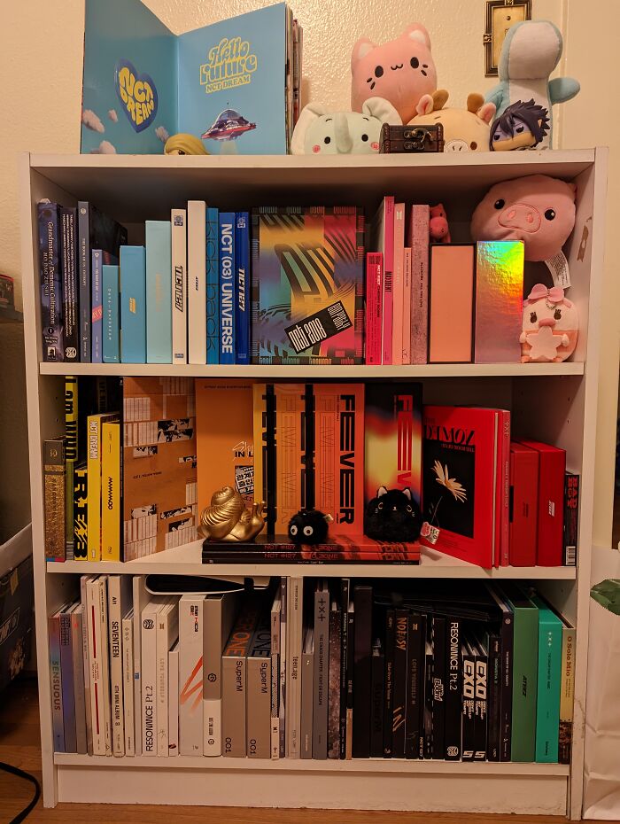 Not Books But This Is How I Have My Albums Displayed :)
