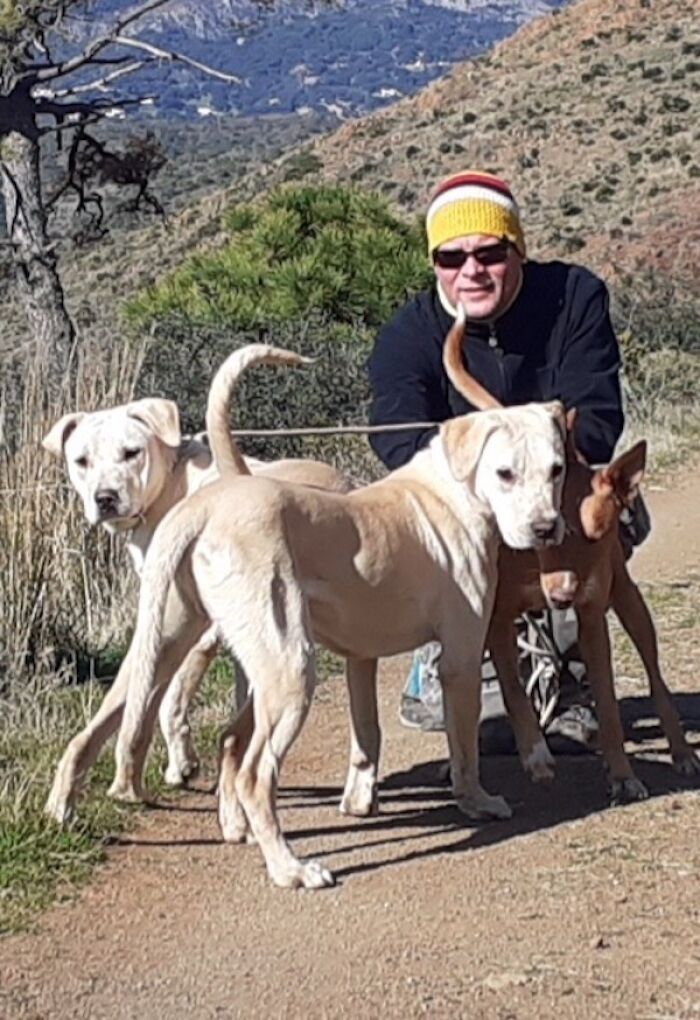 We Teach New Dogs, Using Old Tricks, At The Adana Dog Rescue Centre We Teach New Dogs, Using Old Tricks, At The Adana Dog Rescue Centre