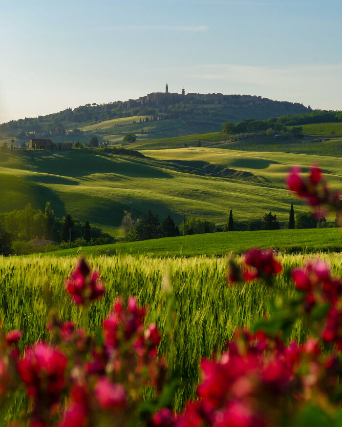 Spring In Pienza, Tuscany