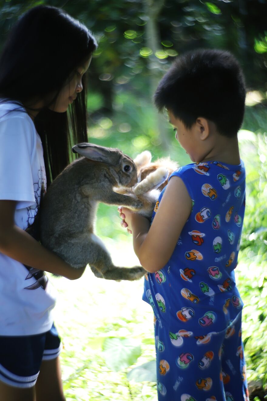 I Did A Photoshoot With Bunnies In Honor Of The Year 2023