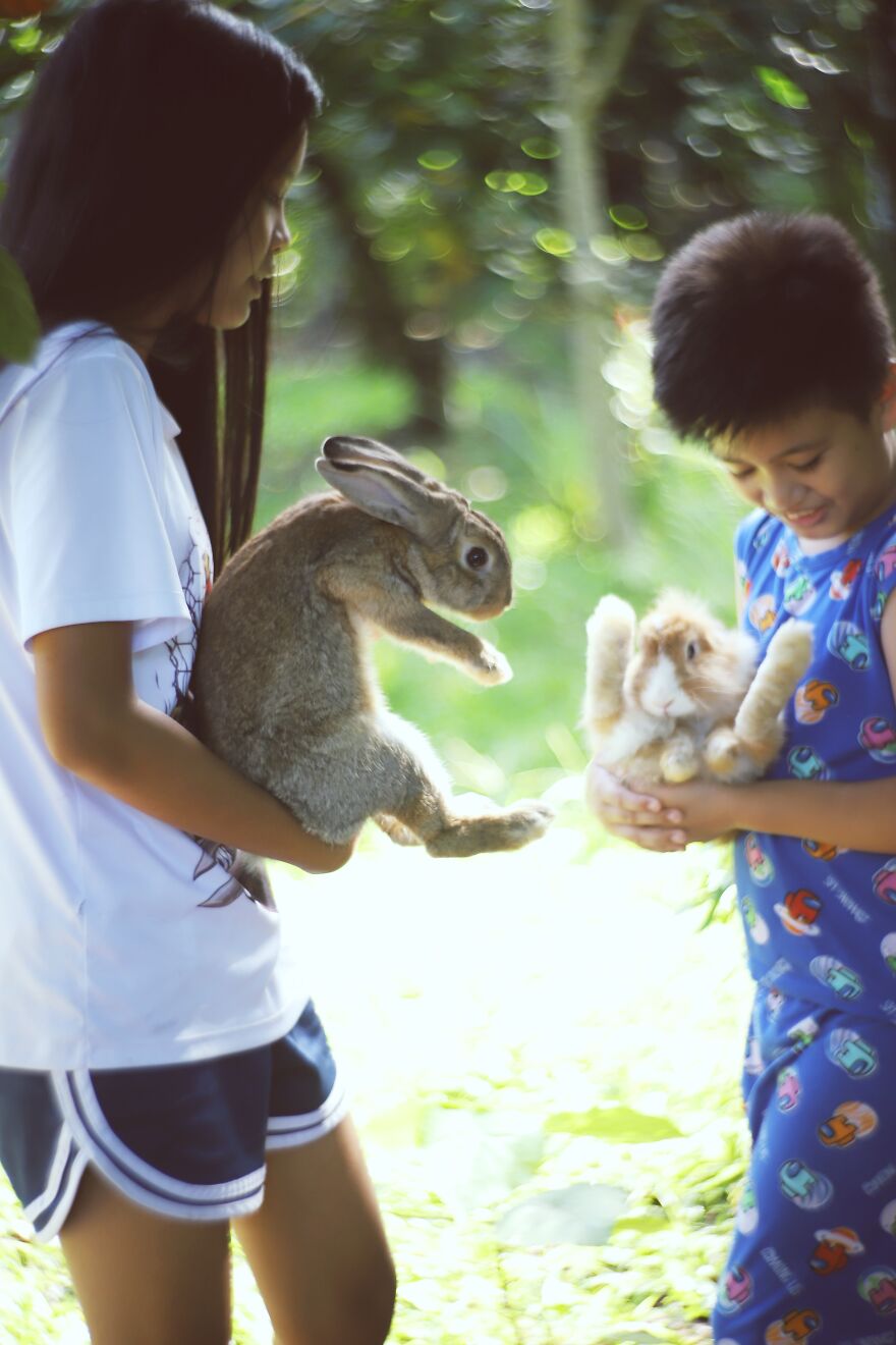 I Did A Photoshoot With Bunnies In Honor Of The Year 2023