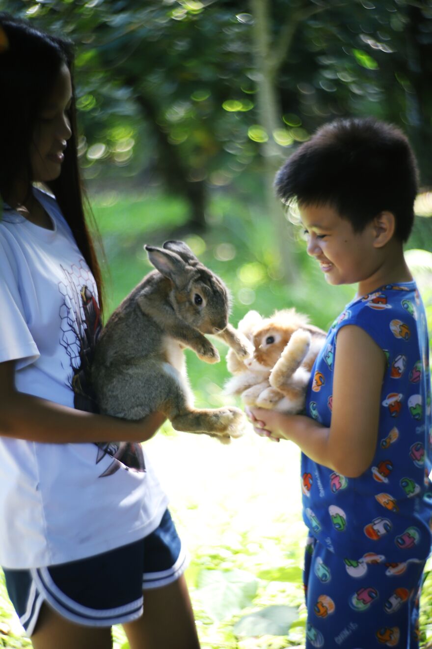 I Did A Photoshoot With Bunnies In Honor Of The Year 2023