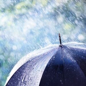 carterjernigan avatar