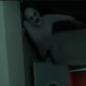 abbigaillegge16student avatar