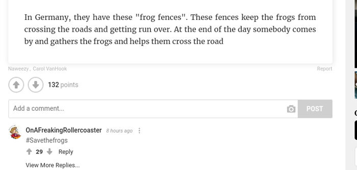 Save The Frogs!!!!