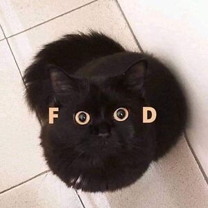 melaniatoderici avatar