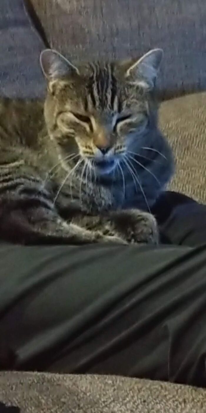 When I Showed This Photo To My Sister She Said ''she Got That Light Skin Stare" I Can't See The Photo The Same