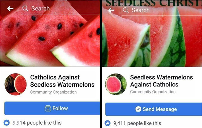 Watermelons Having Better Social Life Than Me