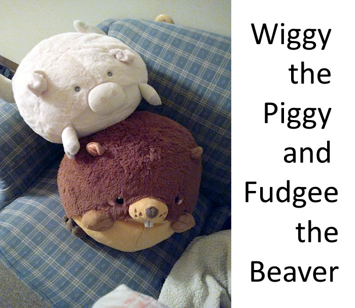 I Found Fudgee While On Vacation Years Ago And My Best Friend Who Had Pulled Out (Yet Unspent) Money For The Trip Got Him For Me. Buckled Him In For The Car Ride Home And Have Slept With Him Every Night Since. He Later Adopted Wiggy To Keep Him Company