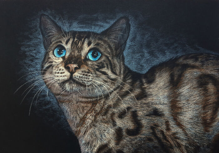 "The Caturdays Project": 25 Cat Drawings I Made In 2022 "The Caturdays Project": 25 Cat Drawings I Made In 2022