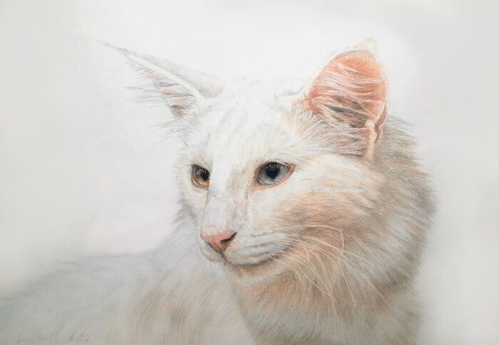 "The Caturdays Project": 25 Cat Drawings I Made In 2022 "The Caturdays Project": 25 Cat Drawings I Made In 2022