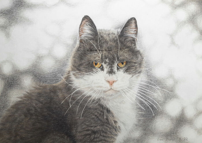 "The Caturdays Project": 25 Cat Drawings I Made In 2022 "The Caturdays Project": 25 Cat Drawings I Made In 2022