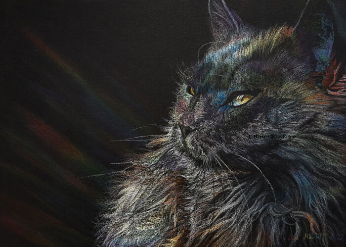 "The Caturdays Project": 25 Cat Drawings I Made In 2022 "The Caturdays Project": 25 Cat Drawings I Made In 2022