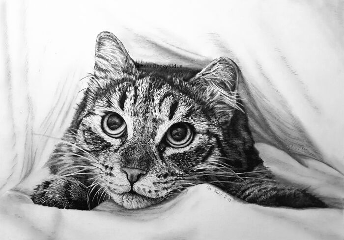 "The Caturdays Project": 25 Cat Drawings I Made In 2022 "The Caturdays Project": 25 Cat Drawings I Made In 2022