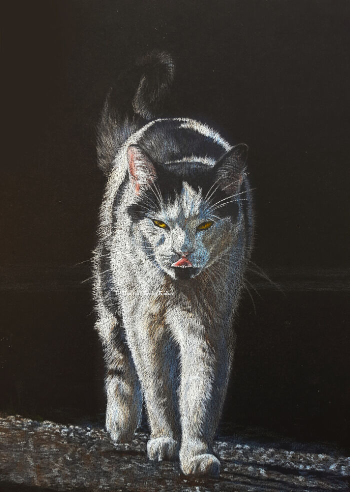 "The Caturdays Project": 25 Cat Drawings I Made In 2022 "The Caturdays Project": 25 Cat Drawings I Made In 2022