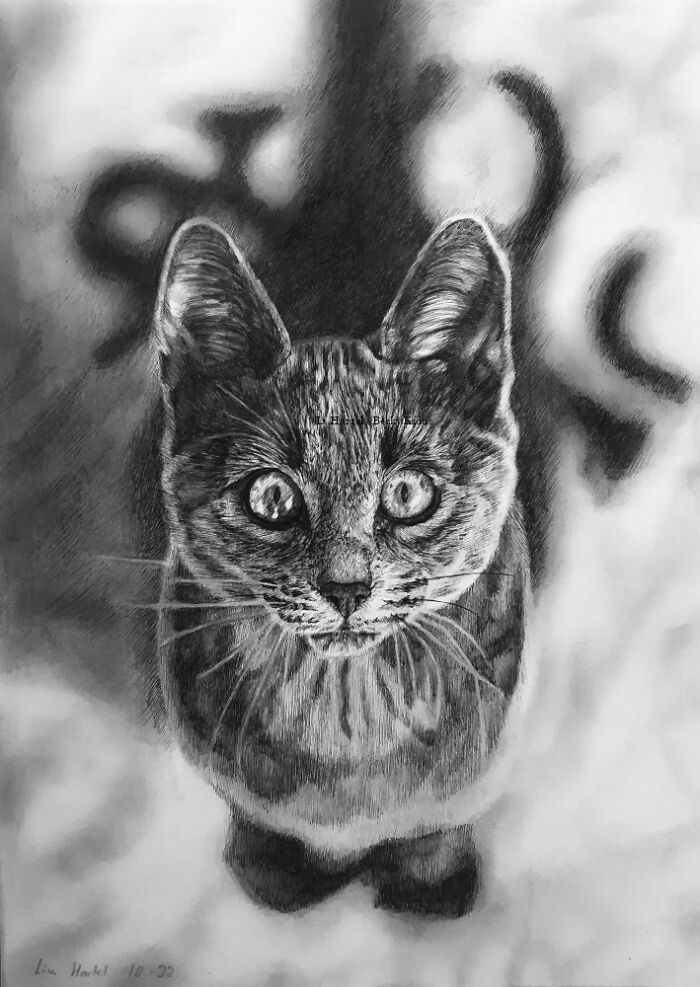 "The Caturdays Project": 25 Cat Drawings I Made In 2022 "The Caturdays Project": 25 Cat Drawings I Made In 2022