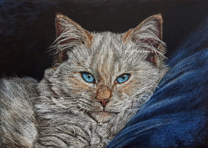 "The Caturdays Project": 25 Cat Drawings I Made In 2022 "The Caturdays Project": 25 Cat Drawings I Made In 2022