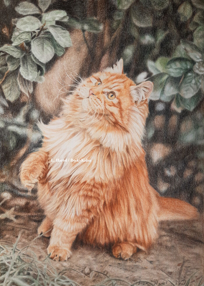 "The Caturdays Project": 25 Cat Drawings I Made In 2022 "The Caturdays Project": 25 Cat Drawings I Made In 2022