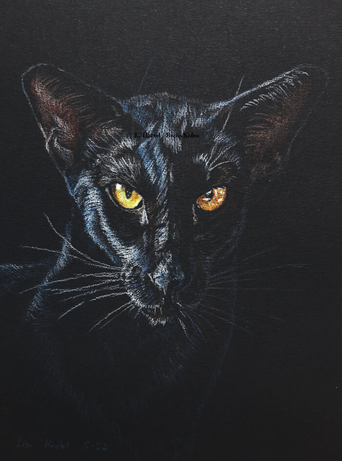 "The Caturdays Project": 25 Cat Drawings I Made In 2022 "The Caturdays Project": 25 Cat Drawings I Made In 2022