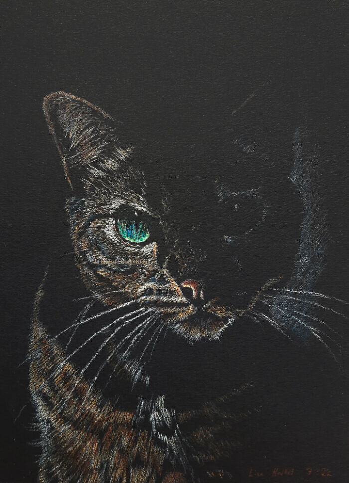 "The Caturdays Project": 25 Cat Drawings I Made In 2022 "The Caturdays Project": 25 Cat Drawings I Made In 2022