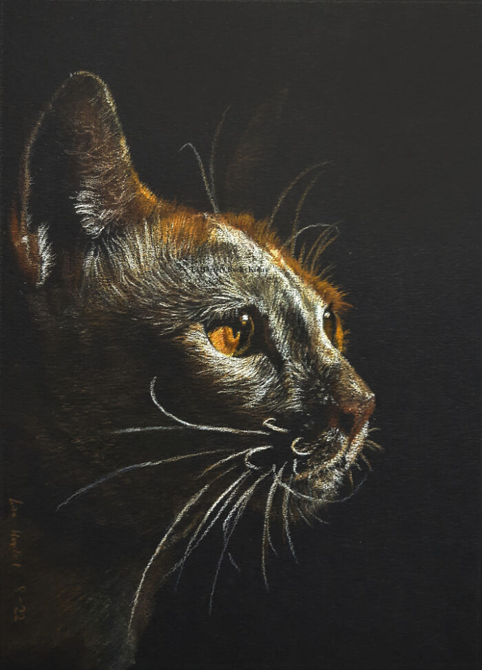 "The Caturdays Project": 25 Cat Drawings I Made In 2022 "The Caturdays Project": 25 Cat Drawings I Made In 2022