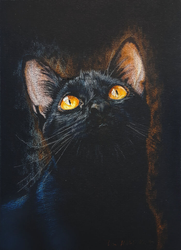 "The Caturdays Project": 25 Cat Drawings I Made In 2022 "The Caturdays Project": 25 Cat Drawings I Made In 2022