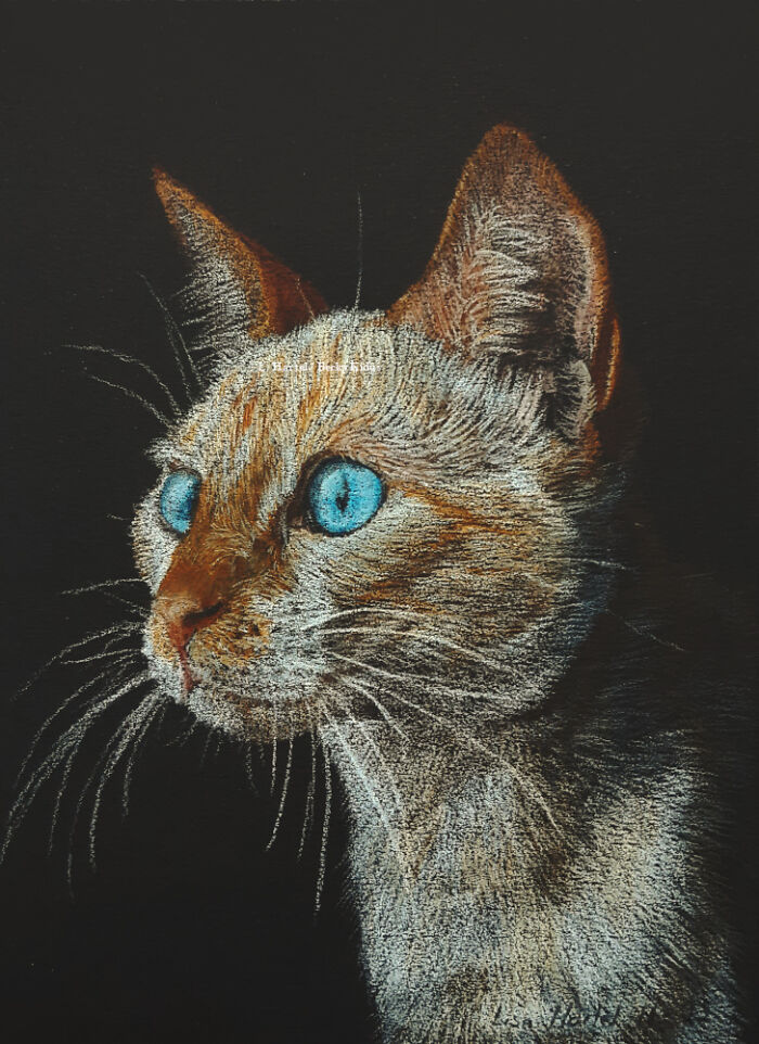 "The Caturdays Project": 25 Cat Drawings I Made In 2022 "The Caturdays Project": 25 Cat Drawings I Made In 2022