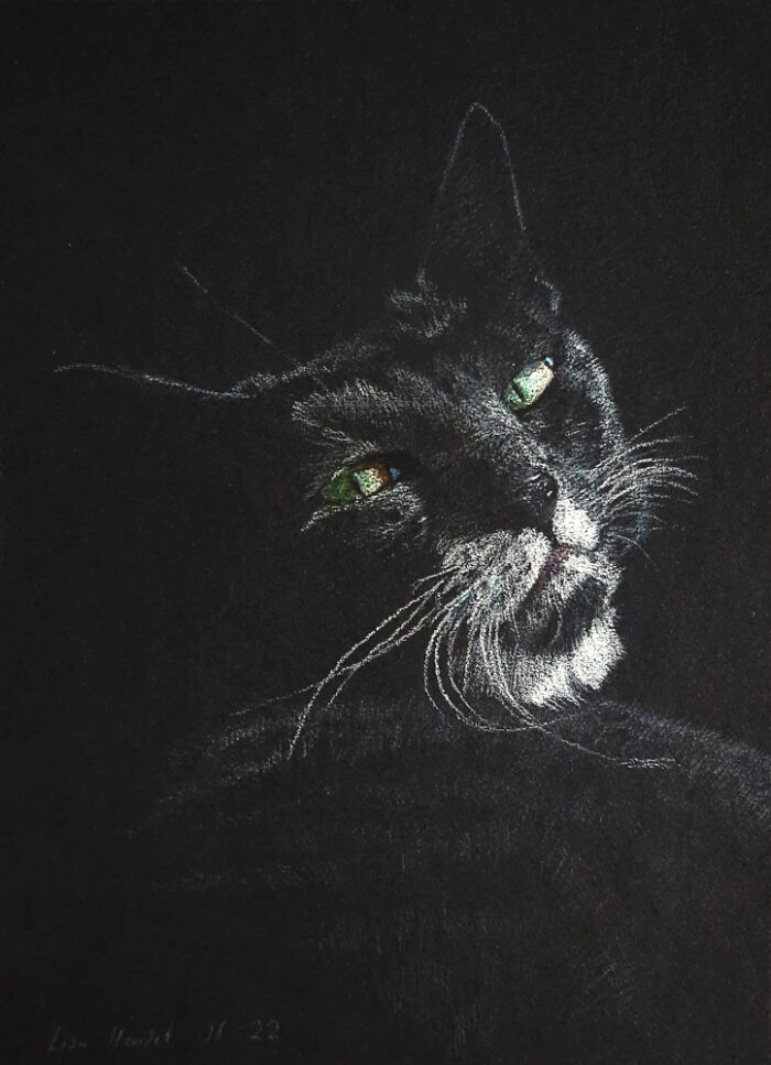 "The Caturdays Project": 25 Cat Drawings I Made In 2022 "The Caturdays Project": 25 Cat Drawings I Made In 2022