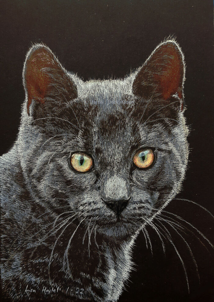 "The Caturdays Project": 25 Cat Drawings I Made In 2022 "The Caturdays Project": 25 Cat Drawings I Made In 2022