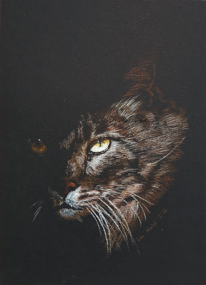 "The Caturdays Project": 25 Cat Drawings I Made In 2022 "The Caturdays Project": 25 Cat Drawings I Made In 2022