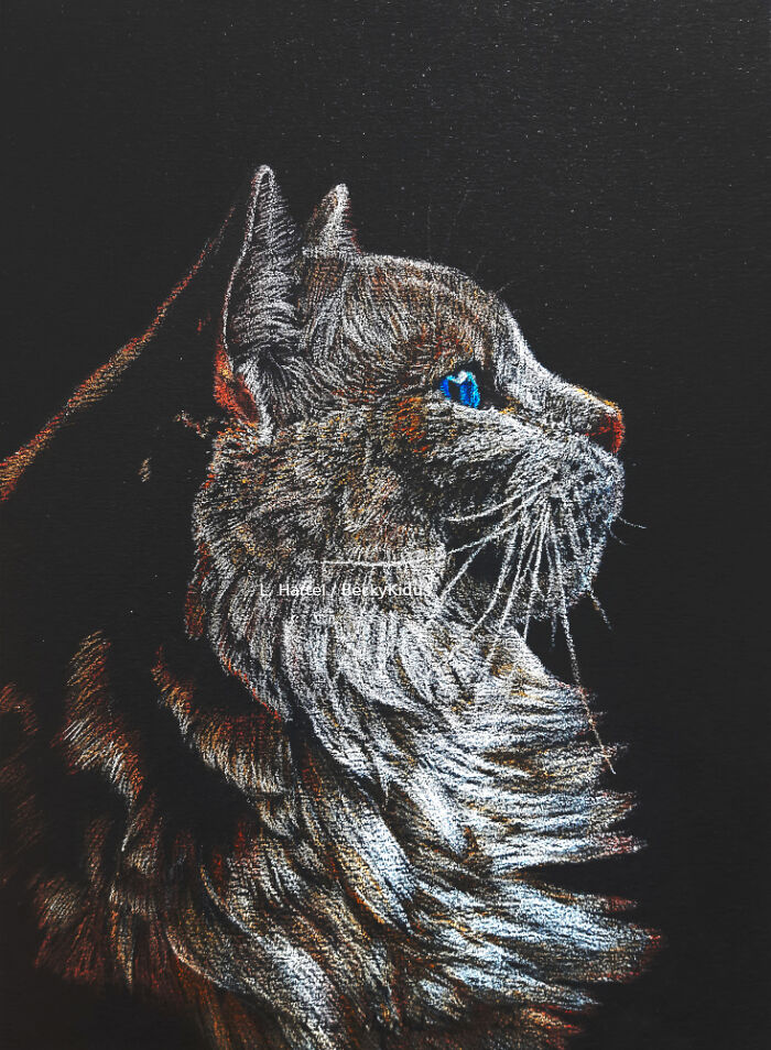 "The Caturdays Project": 25 Cat Drawings I Made In 2022 "The Caturdays Project": 25 Cat Drawings I Made In 2022