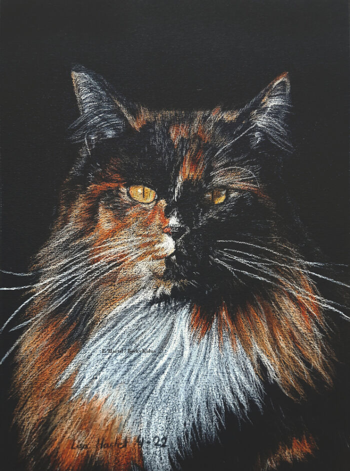 "The Caturdays Project": 25 Cat Drawings I Made In 2022 "The Caturdays Project": 25 Cat Drawings I Made In 2022