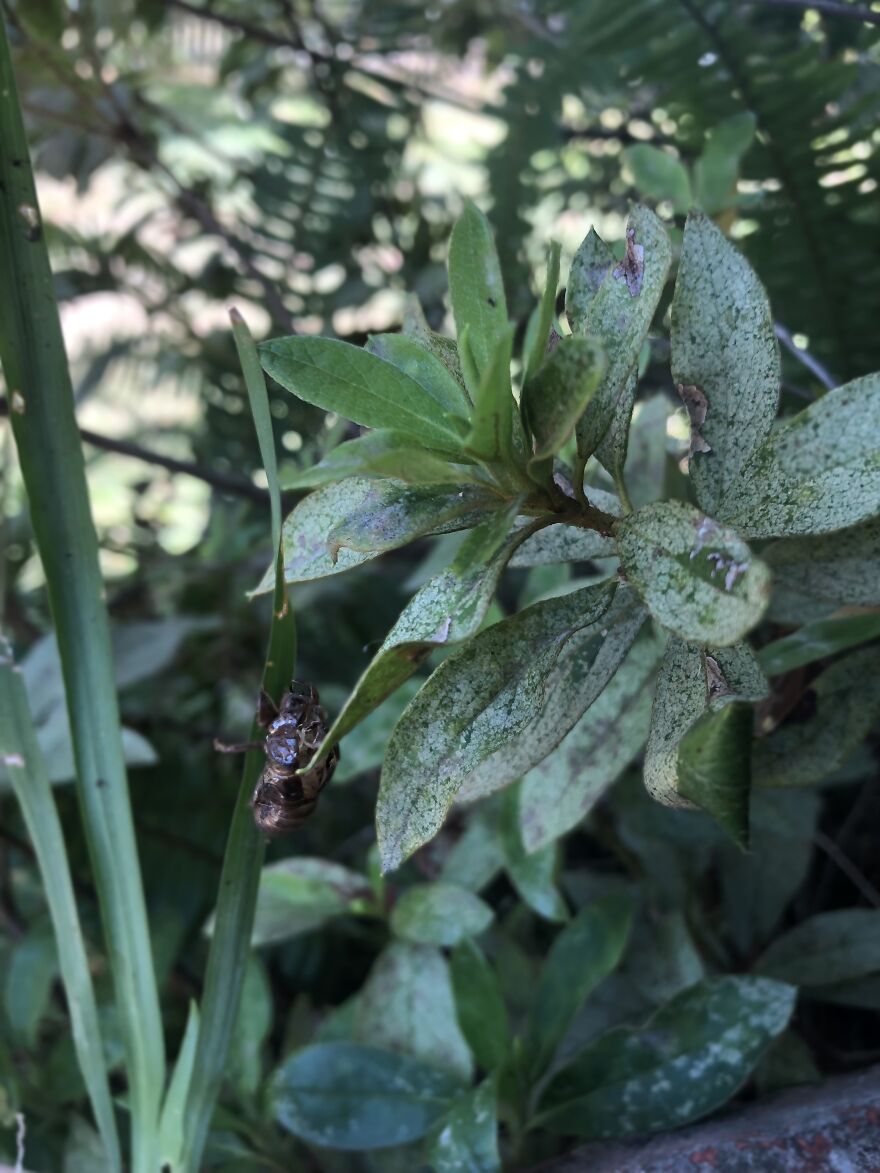 What You Can Find When You Explore Your Backyard!