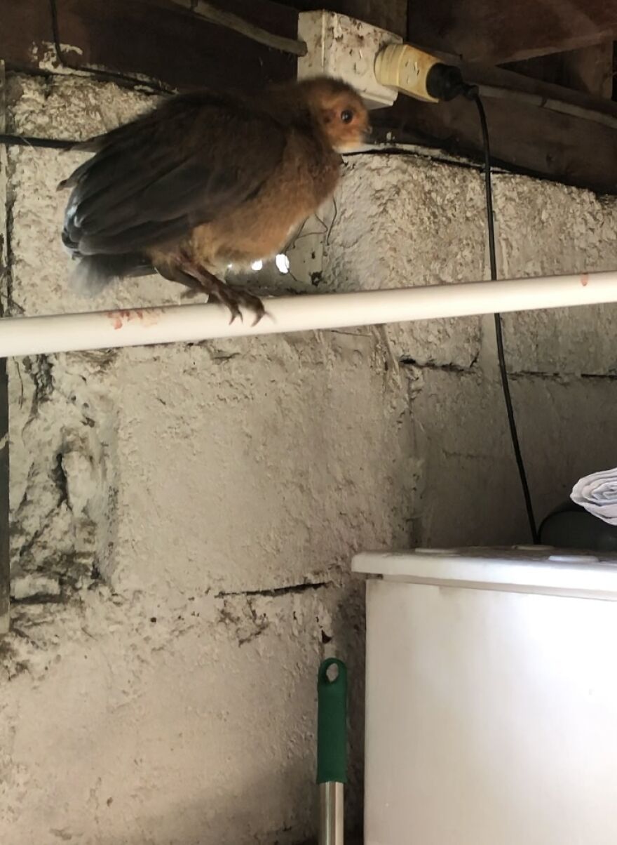 What You Can Find When You Explore Your Backyard!