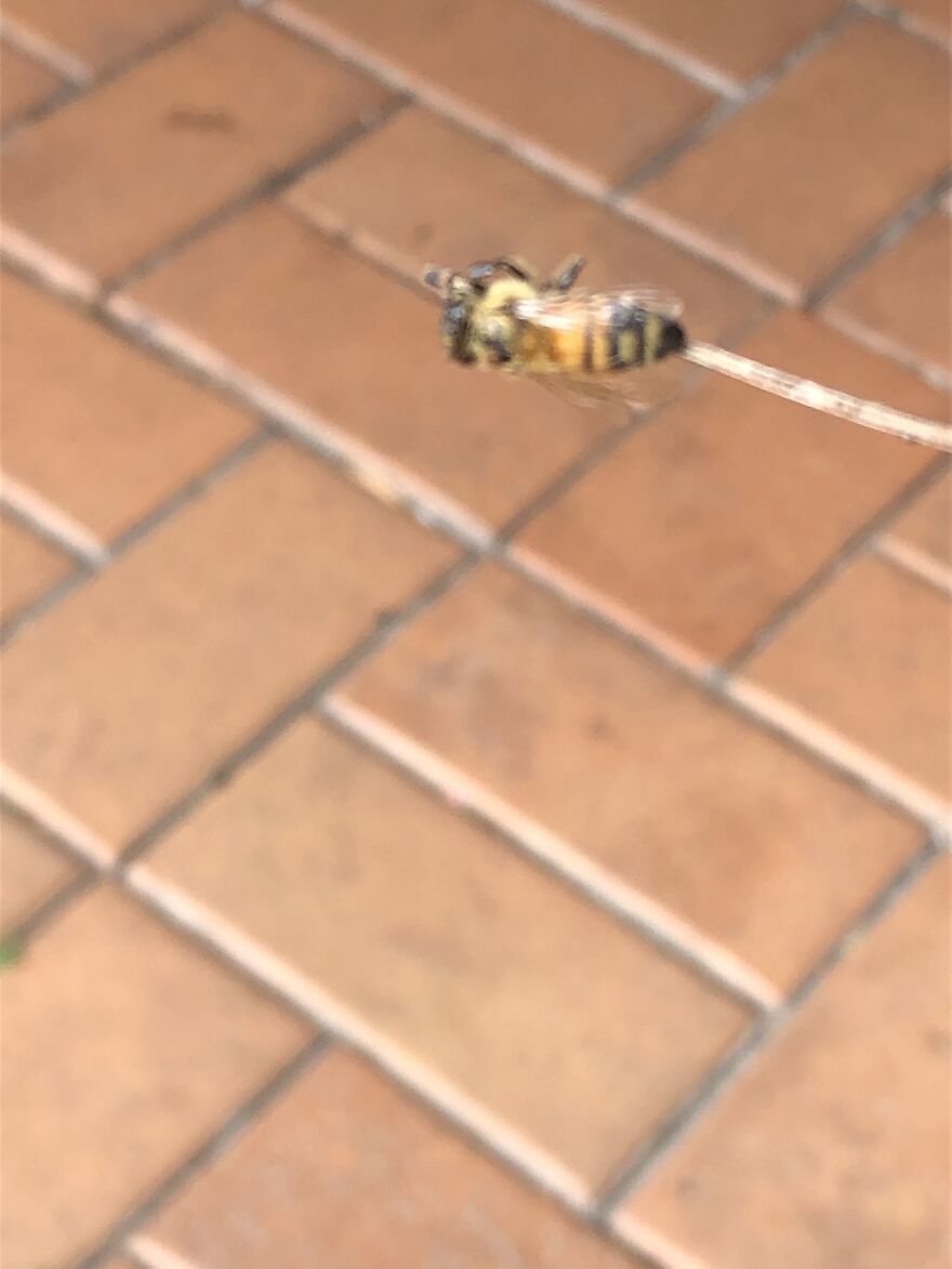 What You Can Find When You Explore Your Backyard!