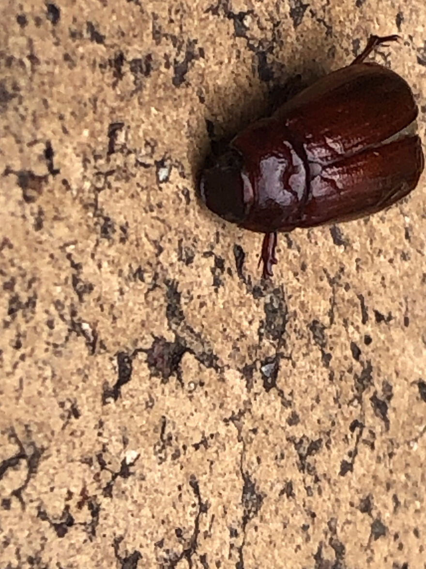 What You Can Find When You Explore Your Backyard!