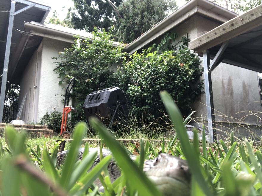 What You Can Find When You Explore Your Backyard!