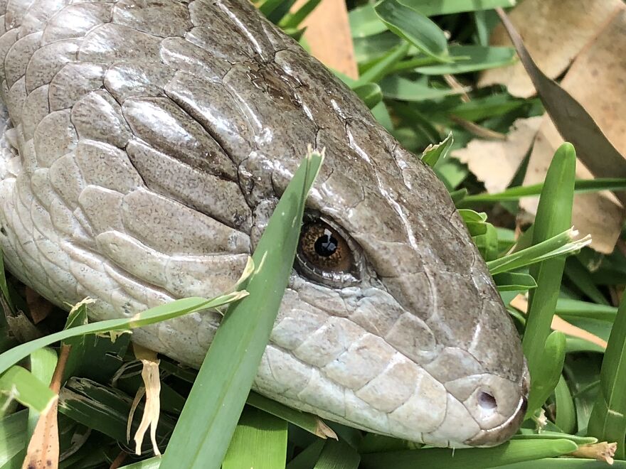 What You Can Find When You Explore Your Backyard!