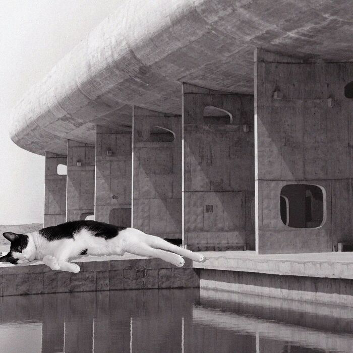 Assembly Building, Le Corbusier, 1962, Chandigarh, India