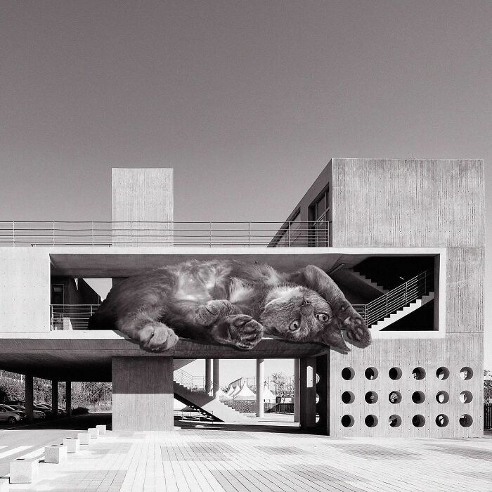 Hangang Guardians A, Idmm Architects, 2009, Mapo-Gu, Seoul, Republic Of Korea