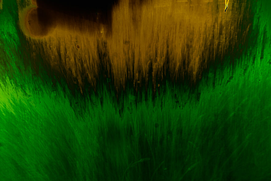 Abstract Photography