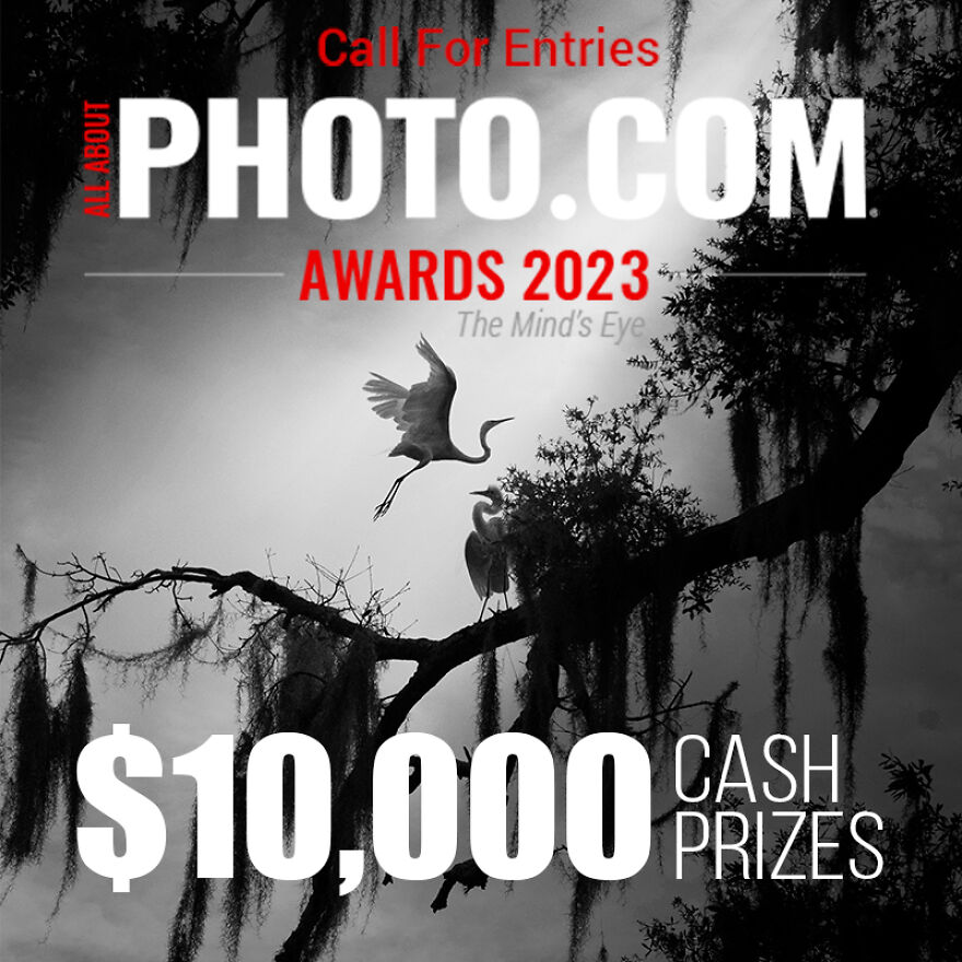 Last Chance To Win $10,000 Cash Prizes