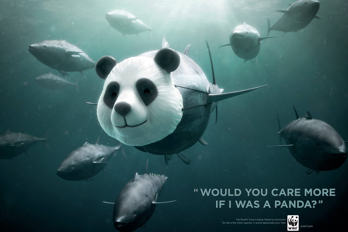 35 Of The Most Powerful Ads By WWF | Bored Panda