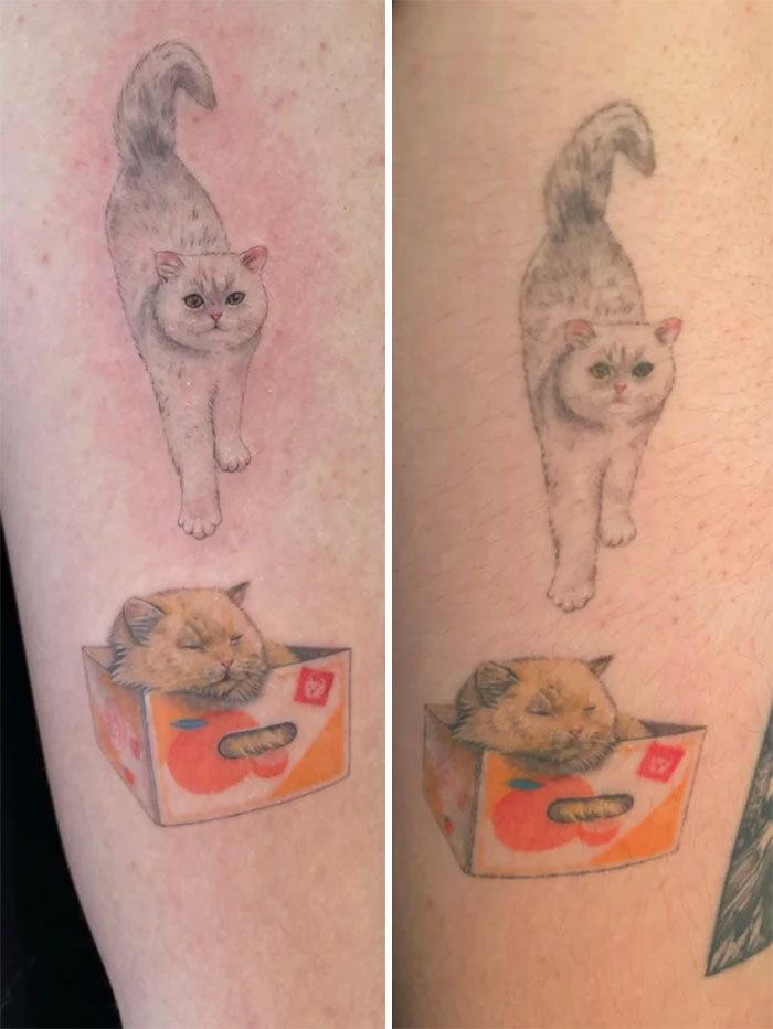Fine Line Pet Portrait Tattoos 1.5 Years Healed