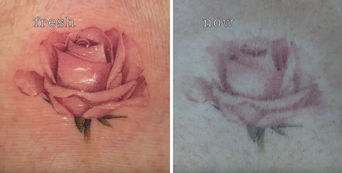 Youtuber Alana Arbucci's Micro Tattoo After One Year