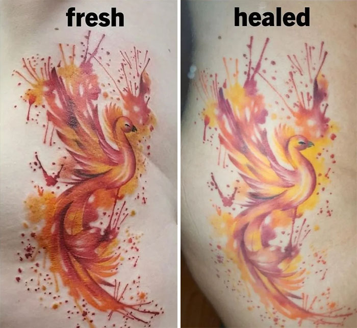 Katy Tattoos  Fresh n Healed 10 months watercolor on  Facebook