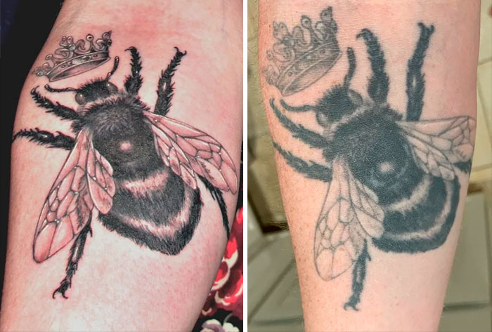 Queen Bee Tattoo, Aged 12.5 Years